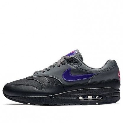 Nike Air Max 1 'Fierce Purple' Dark Grey/Fierce Purple/Black/Pink Blast AR1249-002